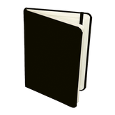 313098-BF9105-799351