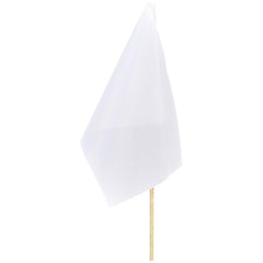 DISPLAY-1010-08-NO-LOGO