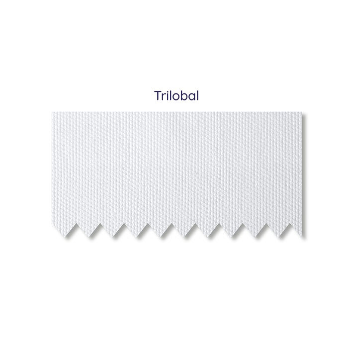 309690-SUB-BN1-DESCUS-802749