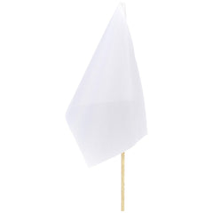 DISPLAY-1010-08-NO-LOGO